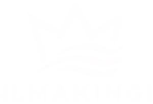 IlmaKingi Oy
